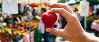 Adult hand holding fresh red strawberry at farmers market or outdoor produce stand with blurred background.
