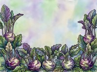 Watercolor illustration of purple kohlrabi vegetables with green stems arranged in a row on white background, suitable for culinary designs, recipe graphics, and food-related marketing materials.