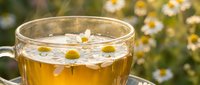Herbal chamomile tea in transparent glass cup with fresh daisy flowers floating on surface, natural remedy for relaxation and wellness on sunny day.