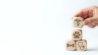 Hand placing wooden cube with veterinary caduceus symbol on stack with pet care icons including paw print, bone and stethoscope on white background.
