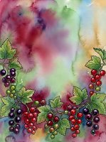 Watercolor illustration of red and black currant berries with green leaves on vibrant rainbow gradient background, suitable for culinary designs and fruit-themed projects.