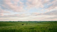 Scenic rural landscape with rolling green fields, distant farmhouses, and soft cloudy sky at golden hour, suitable for agricultural, environmental, and countryside design projects.