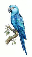 Blue macaw parrot perched on a wooden branch with green leaves, isolated on white background. Watercolor illustration suitable for wildlife design, educational materials, and decorative artwork.