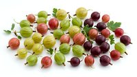 Fresh gooseberries in red, green, and dark purple varieties with leaves arranged on white background for food and culinary design.
