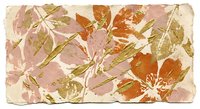 Autumn leaves pressed botanical specimen with warm orange pink and brown foliage creating natural organic texture for seasonal design projects.