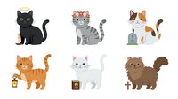 Cartoon cats collection featuring black, tabby, orange, white and brown feline characters in sitting and standing poses. Isolated clipart set ready for design projects, children's illustrations, greeting cards and educational materials.