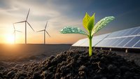 Green plant seedling growing from soil with wind turbines and solar panels at sunset representing sustainable renewable energy and environmental growth.