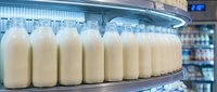 Fresh milk bottles arranged on refrigerated grocery store shelf in dairy section for healthy nutrition and calcium-rich beverage consumption.