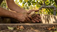 Man washing dirty hands with soap under outdoor water tap in garden setting with natural sunlight filtering through green foliage background.