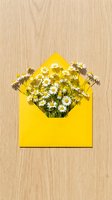 Yellow envelope filled with fresh white daisy flowers on natural wood background for spring greeting cards and romantic messages.