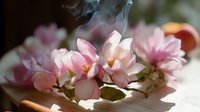 Delicate pink magnolia flowers with rising steam in soft morning light creating dreamy atmospheric mood, artistic nature photography with bokeh effect.