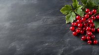 Fresh red currants with green leaves on dark slate stone background with copy space for culinary and healthy food concepts.