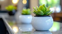 Small green succulent plant in round white ceramic pot on marble surface with soft bokeh background, creating minimalist home decor atmosphere.