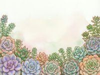 Watercolor succulents border with pastel pink background, hand-drawn botanical art for cards, invitations, and nature-themed designs.