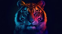 Majestic tiger portrait with vibrant neon blue and orange lighting effects on dark background. Digital art style with glowing colors for modern design projects.