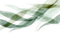 Abstract flowing green waves with transparent layers creating elegant movement and depth on white background, suitable for modern design projects.