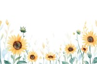 Watercolor sunflowers border with delicate stems and leaves on white background, soft yellow and green botanical arrangement for stationery design.