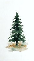 Watercolor evergreen pine tree with snow-covered ground on white background for holiday cards, winter decorations and seasonal design projects.