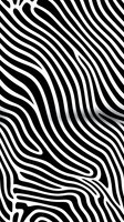 Abstract black and white wavy striped pattern creating optical illusion effect. Seamless geometric design tiles continuously for wallpaper and textile applications.