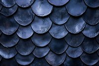 Metallic blue dragon scales pattern with overlapping circular shapes creating armored texture effect. Dark mysterious fantasy background with shimmering details.