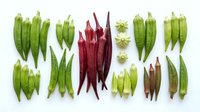 Colorful okra pods variety display featuring fresh green and red vegetables arranged in rows on white background for healthy cooking recipes.