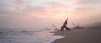 Young woman practicing yoga warrior pose on sandy beach at sunset with driftwood, peaceful meditation and wellness lifestyle by ocean waves.