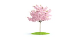 Stylized pink cherry blossom tree on small grass hill against white background, minimal spring nature concept for decorative design and seasonal artwork.