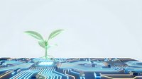 Young green seedling sprouting from circuit board motherboard, symbolizing sustainable technology, eco-friendly innovation, and green computing for environmental awareness campaigns.