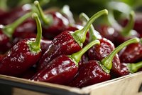 Fresh red hot chili peppers with green stems in wooden basket. Spicy vegetables for cooking, seasoning and culinary preparations in kitchen.