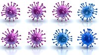 Microscopic virus cells in purple and blue colors arranged in two rows on white background, scientific medical visualization with detailed spikes and structure.