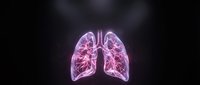 Human lungs anatomy with glowing pink neon effect on dark background for medical education and healthcare presentations.