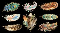 Decorative feather collection with ornamental designs isolated on transparent background, ready for t-shirt designs, clipart, stickers, sublimation and print-on-demand products.
