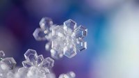 Macro close-up of delicate snowflake crystals with intricate hexagonal patterns against soft blurred winter background for seasonal designs.
