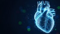 Digital wireframe human heart with glowing blue network connections on dark background for medical technology and healthcare innovation concepts.