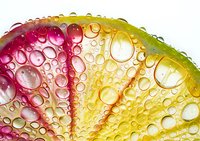 Fresh citrus slice with water droplets in vibrant gradient colors from pink to yellow, extreme macro photography showing detailed texture and transparency.