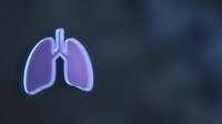 Glowing purple lungs anatomy illustration on dark background for medical education and healthcare presentations.