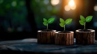 Young green seedlings growing from wooden stumps against blurred natural bokeh background with warm sunlight, representing growth and sustainability.