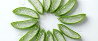 Fresh okra pods arranged in circle with water droplets on white background, suitable for food, nutrition, cooking, and healthy eating design projects.