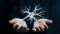 Glowing neuron cell floating above open human hands against dark background representing brain science, medical research and neurological health concepts.