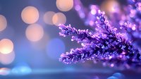 Purple Christmas tree branch with festive bokeh lights creating magical holiday atmosphere for seasonal decorations and winter celebrations.