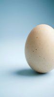 Single speckled brown egg on soft blue gradient background with natural lighting and minimal composition for cooking and food concepts.