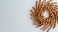 Spiral pattern made from raw chickpeas on white background, creative food composition with natural legumes, minimalist design layout with copy space.