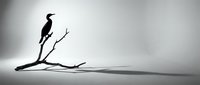 Silhouette of a cormorant perched on a bare branch against a misty, overcast sky, conveying solitude and contemplation for wildlife and nature themes.