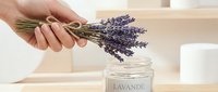 Closeup of female hand holding dried lavender bunch over glass jar labeled lavande on neutral shelf with white decor, aromatherapy and home fragrance styling.