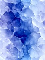 Delicate watercolor abstract pattern in shades of blue and white creates organic cellular shapes with flowing transitions. Seamless repeat design for fabric and wallpaper.