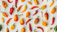 Fresh colorful chili peppers and habaneros scattered on white background, top view. Isolated hot peppers pattern for food design and spicy cuisine concepts.