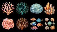 Coral reef sea life collection featuring isolated marine organisms including branching corals, anemones, tropical fish, shells, and sea urchins on transparent background. Ready for t-shirt designs, clipart, stickers, sublimation, and print-on-demand products.