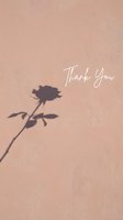 Rose shadow on a pastel pink textured wall with elegant Thank You script, perfect for greeting cards, social media posts, and wedding stationery.