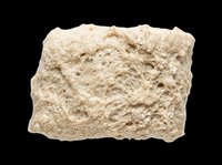 Textured beige mineral specimen isolated on transparent background, ready for design use in educational materials, print-on-demand products, and digital crafts.