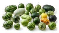 Fresh assorted melons and gourds collection featuring watermelons, cantaloupes, honeydew and decorative varieties isolated on white background for design.